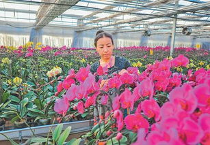 網(wǎng)上的人民日?qǐng)?bào)