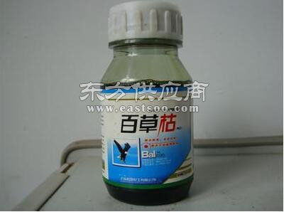 二月藍綠化器材出售與苗木營養(yǎng)杯供應商介紹